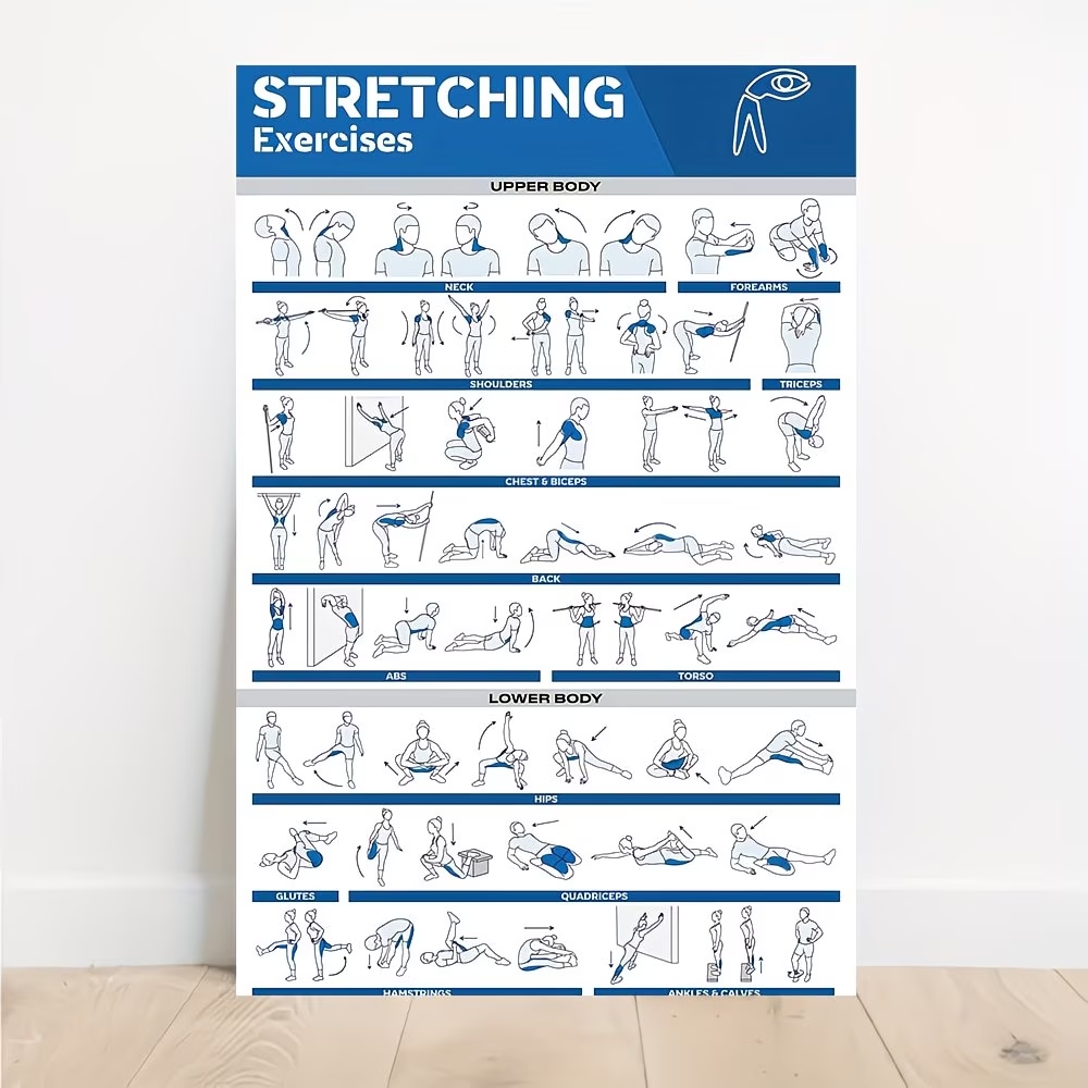Home Gym Decor - モダンなラベル付き全身ストレッチ体図 ジム用ウォールアートプリント キャンバス絵画ポスター リビングルーム、寝室の家の装飾用絵画