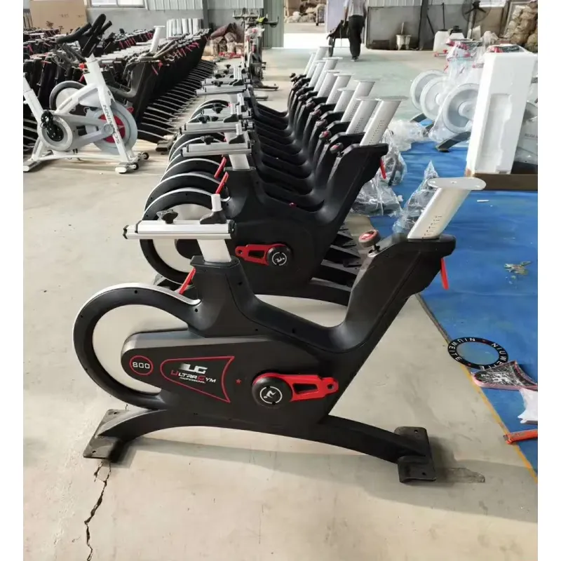 プロ仕様の磁気抵抗スピニングバイク、室内サイクリングエクササ - Home Gym Workout のレビューと価格