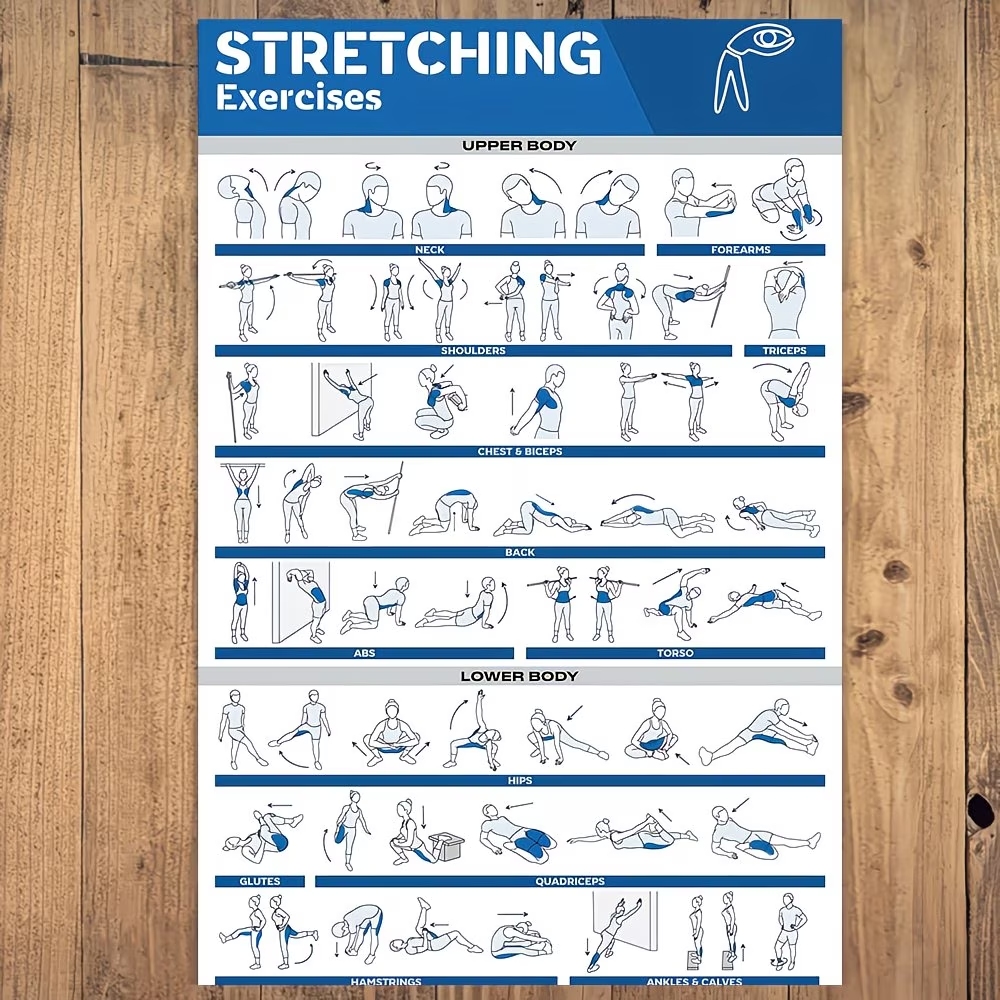 モダンなラベル付き全身ストレッチ体図 ジム用ウォールアートプ - Home Gym Decor のレビューと価格