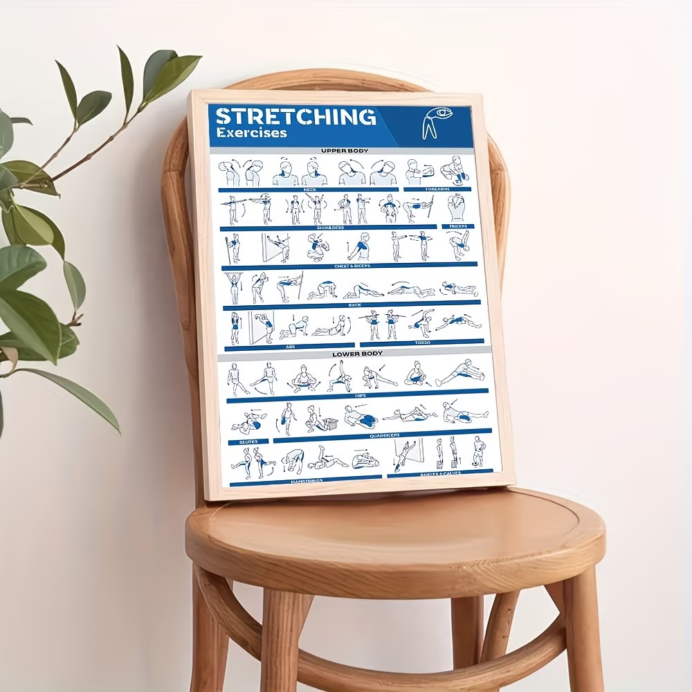 モダンなラベル付き全身ストレッチ体図 ジム用ウォールアートプ - Home Gym Decor のレビューと価格